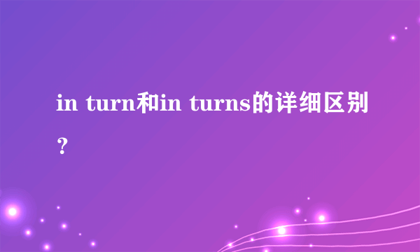 in turn和in turns的详细区别？