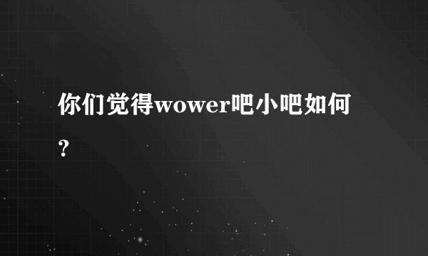 你们觉得wower吧小吧如何？