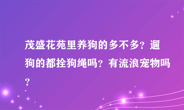 茂盛花苑里养狗的多不多？遛狗的都拴狗绳吗？有流浪宠物吗？