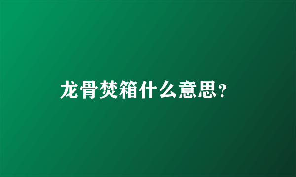 龙骨焚箱什么意思？