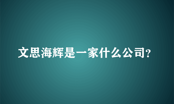 文思海辉是一家什么公司？