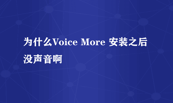 为什么Voice More 安装之后没声音啊