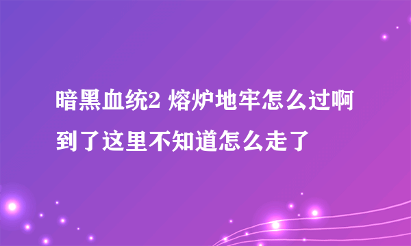 暗黑血统2 熔炉地牢怎么过啊 到了这里不知道怎么走了