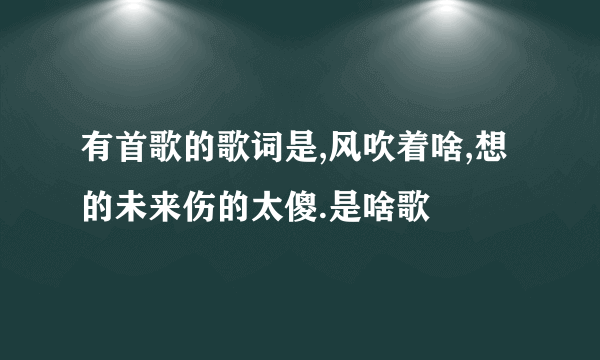 有首歌的歌词是,风吹着啥,想的未来伤的太傻.是啥歌