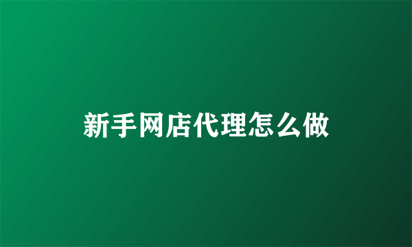 新手网店代理怎么做