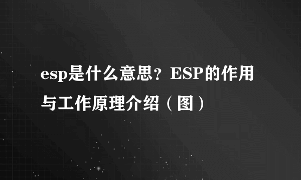 esp是什么意思？ESP的作用与工作原理介绍（图）