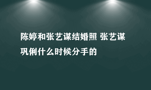 陈婷和张艺谋结婚照 张艺谋巩俐什么时候分手的