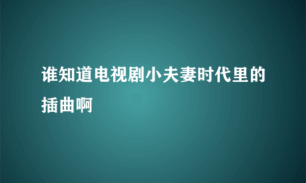 谁知道电视剧小夫妻时代里的插曲啊