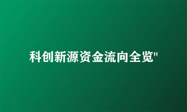 科创新源资金流向全览