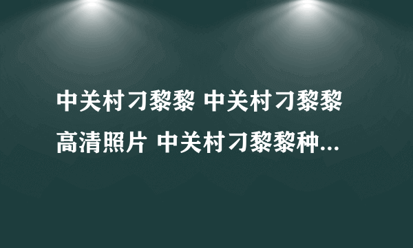 中关村刁黎黎 中关村刁黎黎高清照片 中关村刁黎黎种子bt 中关村刁黎黎视频