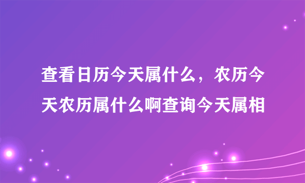 查看日历今天属什么，农历今天农历属什么啊查询今天属相