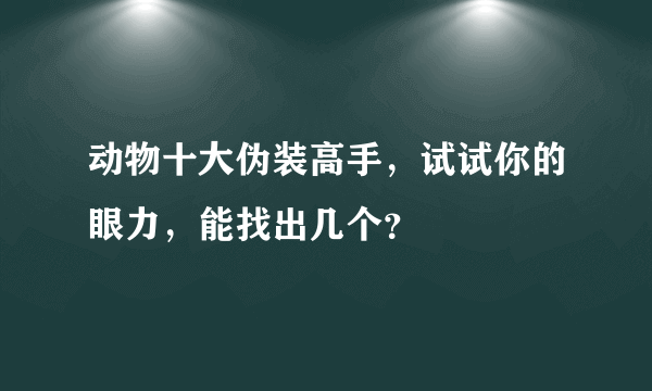 动物十大伪装高手，试试你的眼力，能找出几个？