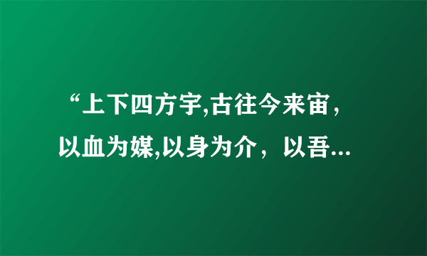 “上下四方宇,古往今来宙，以血为媒,以身为介，以吾之身,任行其间”是什么意思？