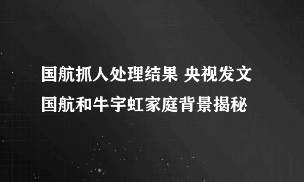 国航抓人处理结果 央视发文国航和牛宇虹家庭背景揭秘