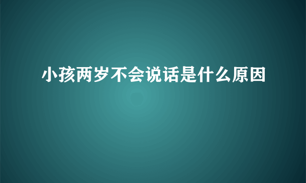 小孩两岁不会说话是什么原因