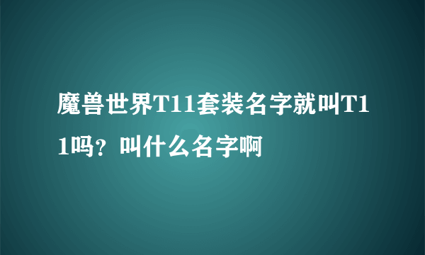 魔兽世界T11套装名字就叫T11吗？叫什么名字啊