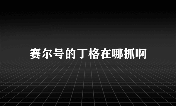 赛尔号的丁格在哪抓啊