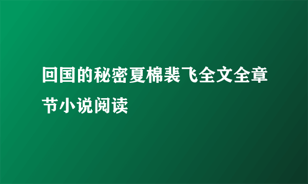 回国的秘密夏棉裴飞全文全章节小说阅读