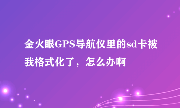 金火眼GPS导航仪里的sd卡被我格式化了，怎么办啊