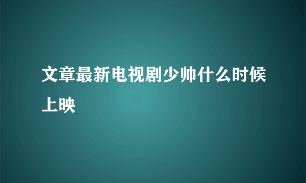 文章最新电视剧少帅什么时候上映