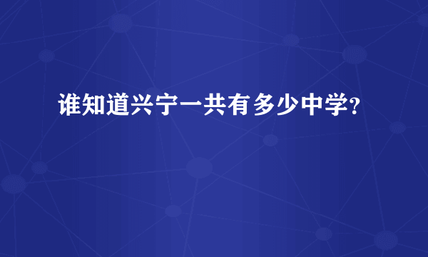 谁知道兴宁一共有多少中学？