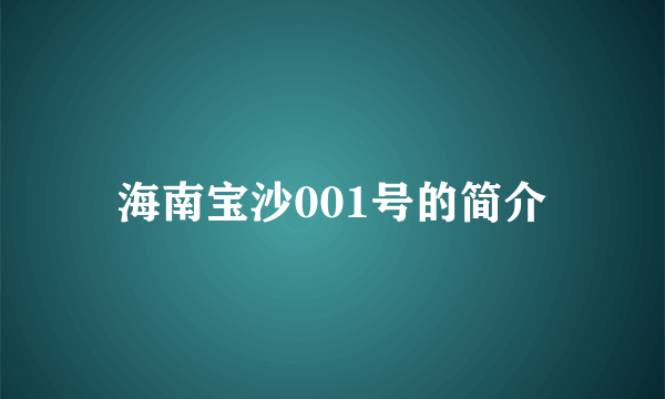 海南宝沙001号的简介