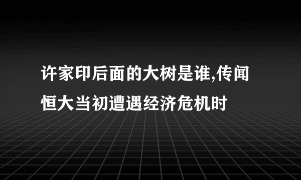 许家印后面的大树是谁,传闻恒大当初遭遇经济危机时