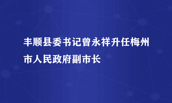 丰顺县委书记曾永祥升任梅州市人民政府副市长