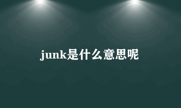 junk是什么意思呢