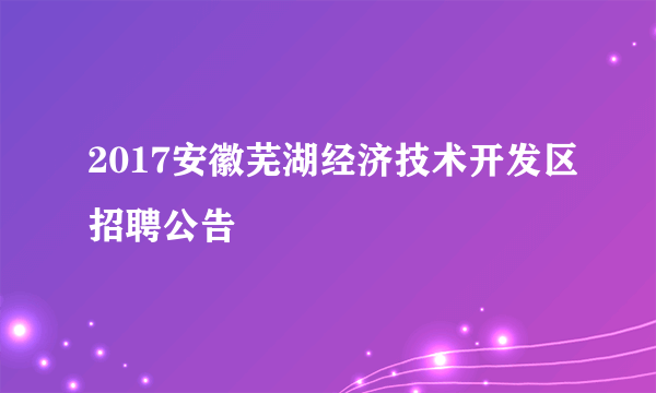 2017安徽芜湖经济技术开发区招聘公告