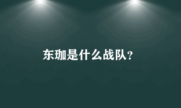 东珈是什么战队？