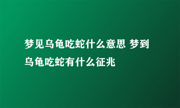 梦见乌龟吃蛇什么意思 梦到乌龟吃蛇有什么征兆