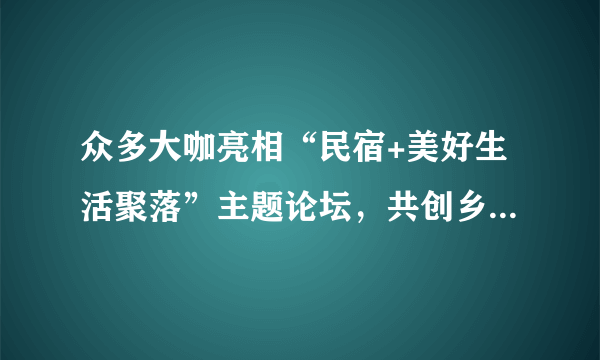 众多大咖亮相“民宿+美好生活聚落”主题论坛，共创乡村旅游产业升级