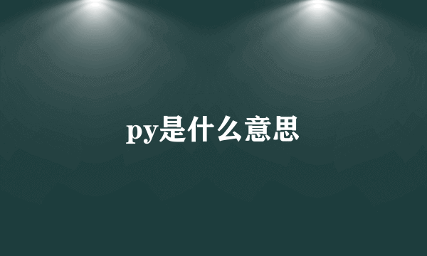 py是什么意思