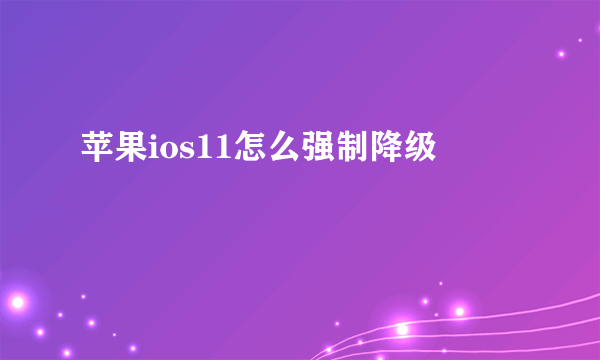 苹果ios11怎么强制降级