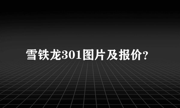 雪铁龙301图片及报价？