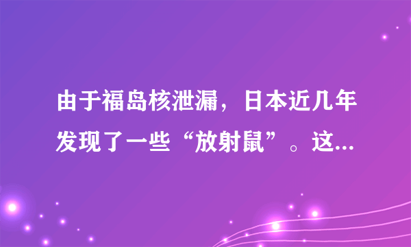 由于福岛核泄漏，日本近几年发现了一些“放射鼠”。这些老鼠有的不仅体型巨大，其带有的放射性可能也会使人类处于危险之中。下列有关生物变异的说法正确的是（　　）A.DNA中碱基对发生增添、缺失或替换必然导致基因突变B.单倍体的体细胞中含有单个染色体组，不可能存在同源染色体C.交叉互换、自由组合、转基因技术都属于基因重组D.因为三倍体无子西瓜高度不育所以无子性状的变异是不可遗传变异