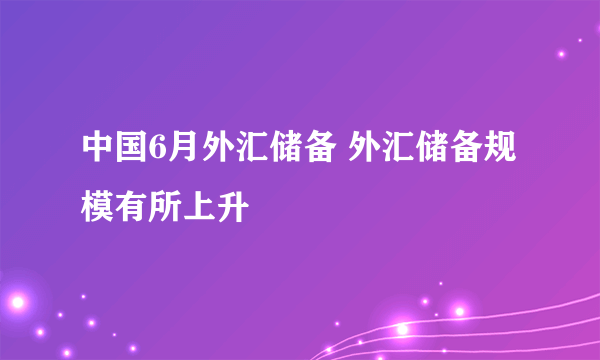 中国6月外汇储备 外汇储备规模有所上升