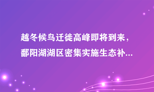 越冬候鸟迁徙高峰即将到来，鄱阳湖湖区密集实施生态补水，目前情况如何？