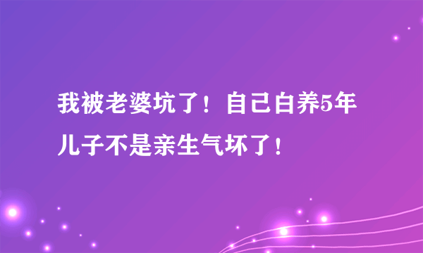 我被老婆坑了！自己白养5年儿子不是亲生气坏了！