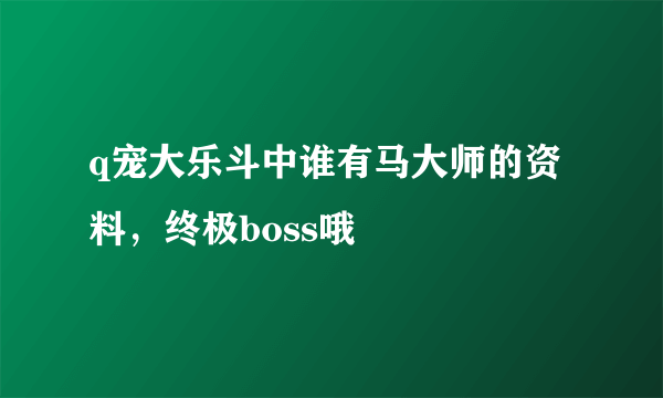 q宠大乐斗中谁有马大师的资料，终极boss哦