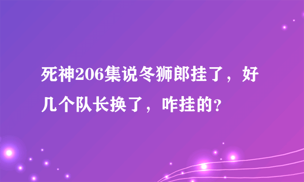 死神206集说冬狮郎挂了，好几个队长换了，咋挂的？