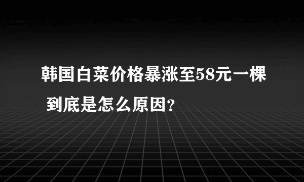 韩国白菜价格暴涨至58元一棵 到底是怎么原因？