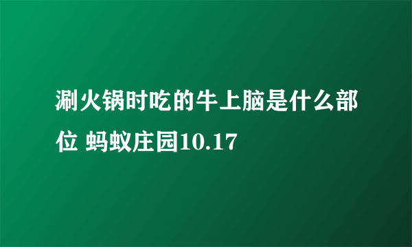 涮火锅时吃的牛上脑是什么部位 蚂蚁庄园10.17