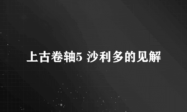 上古卷轴5 沙利多的见解