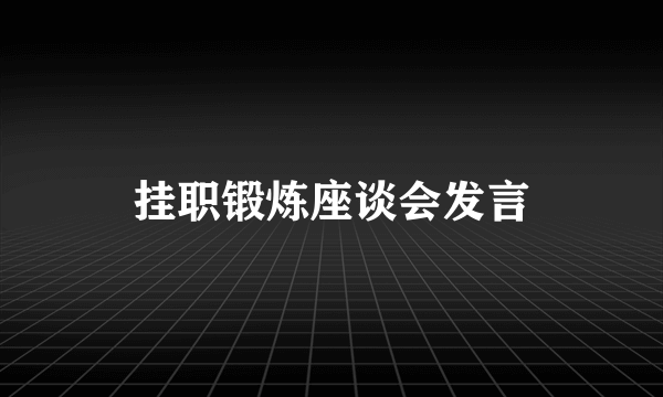 挂职锻炼座谈会发言