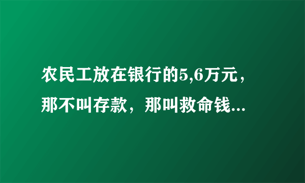 农民工放在银行的5,6万元，那不叫存款，那叫救命钱，你认可吗？