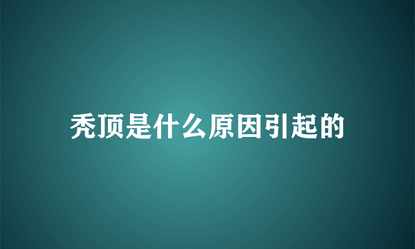 秃顶是什么原因引起的