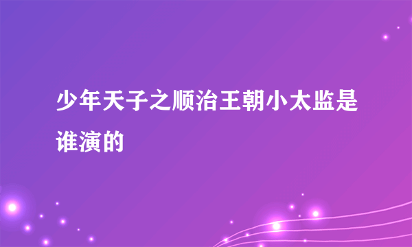 少年天子之顺治王朝小太监是谁演的