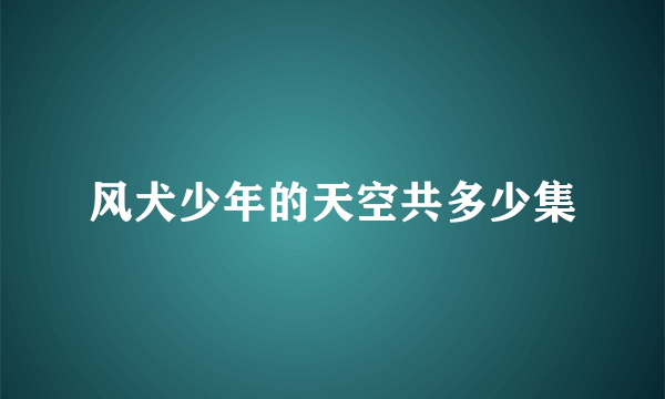 风犬少年的天空共多少集